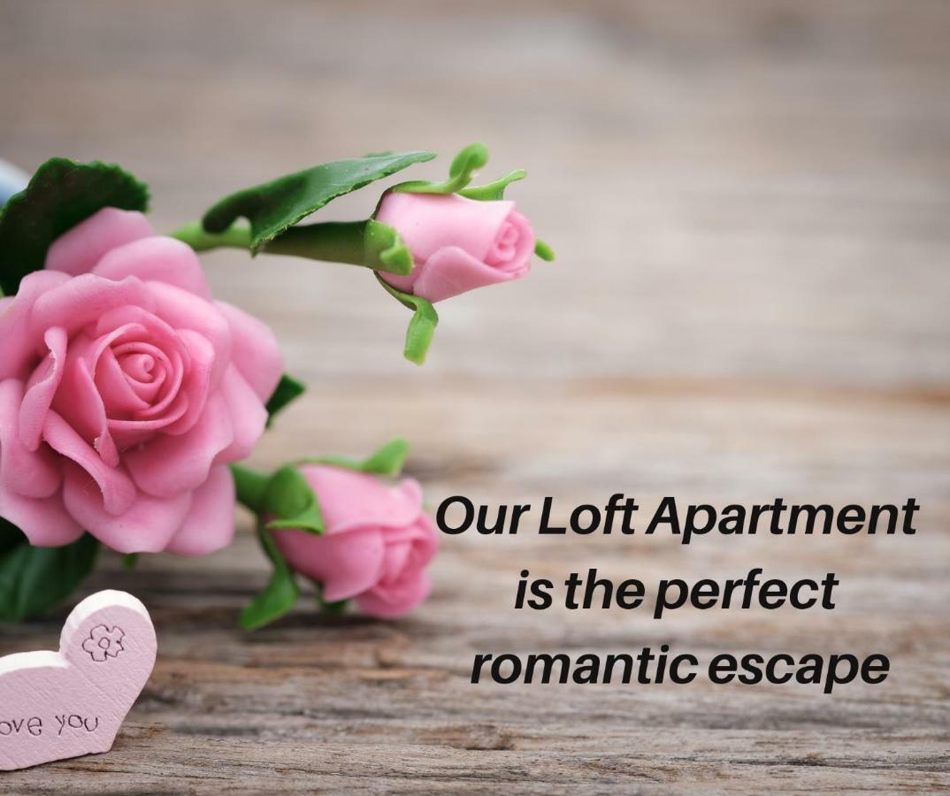 ווארנאמבול Logans Beach Apartments - The Loft מראה חיצוני תמונה