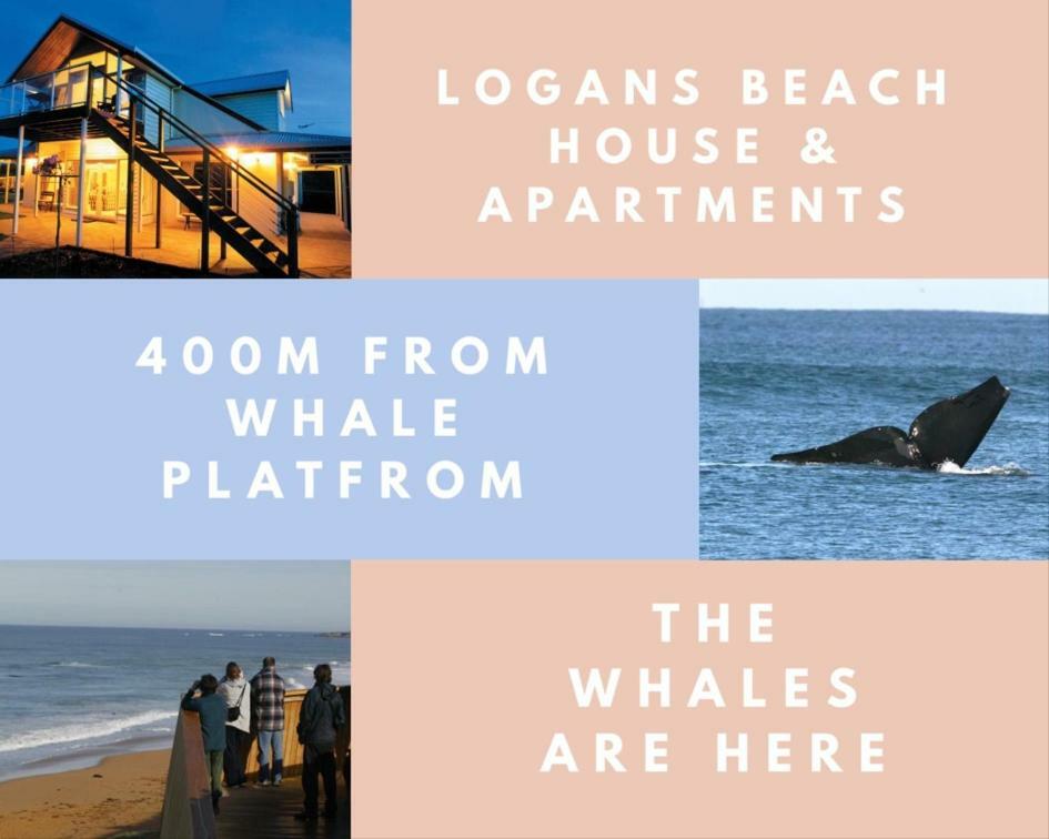 ווארנאמבול Logans Beach Apartments - The Loft מראה חיצוני תמונה